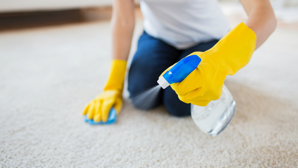 Carpet Cleaning Duty: Deeply Affected by Carpet Cleaning