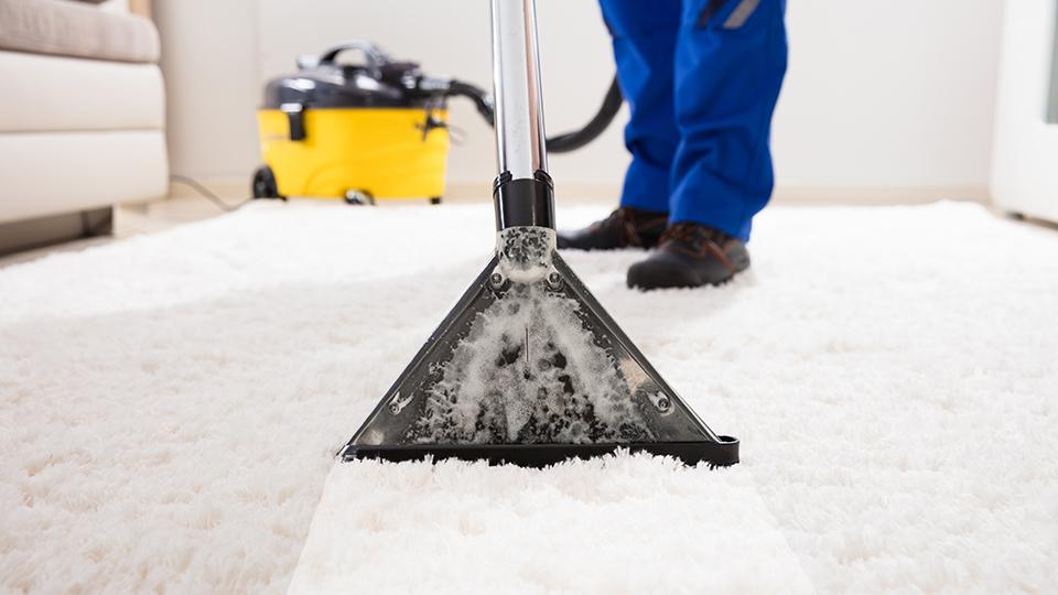 Carpeting Cleaning - Choose the Right Product for Your Rug