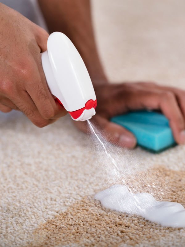 Cleansing and Maintenance of Area Rugs