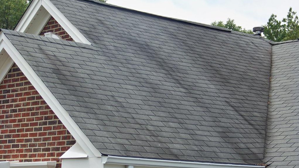 How To Get rid of Discolorations From Your Roof